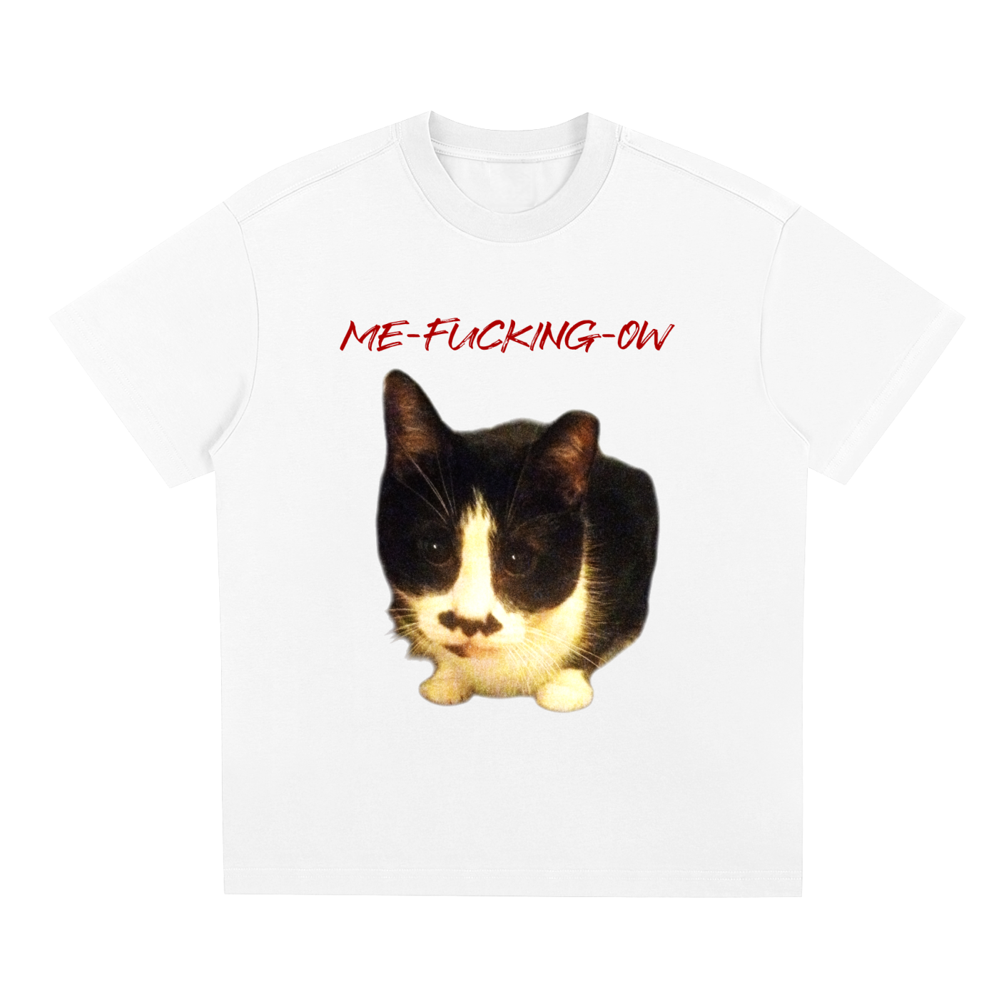 MEOW,ME FUCKING OW,FUCKING,FUCK,CAT VULGAR,SWEARING CAT,MAD CAT,MAD,CAT,CAT STARE