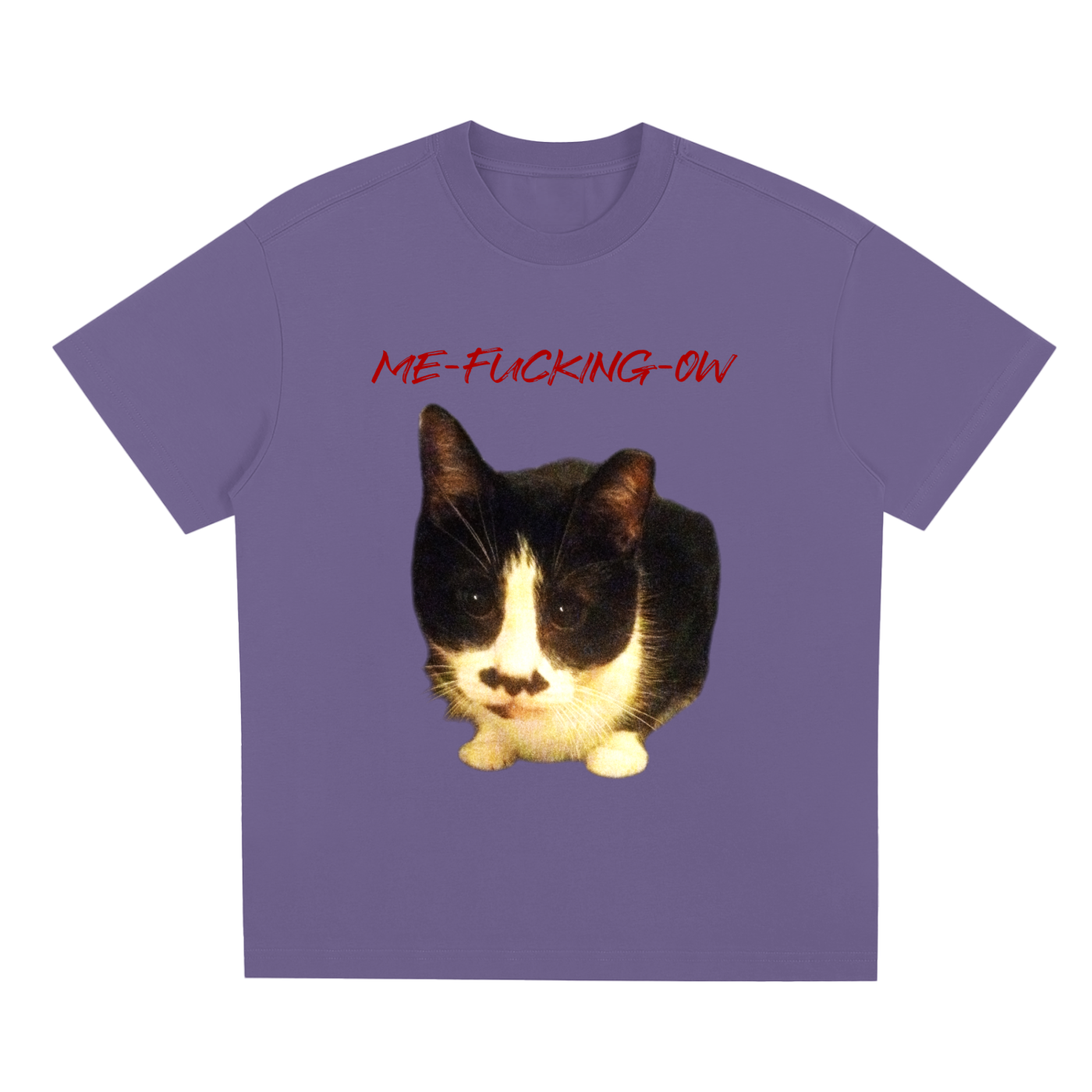 MEOW,ME FUCKING OW,FUCKING,FUCK,CAT VULGAR,SWEARING CAT,MAD CAT,MAD,CAT,CAT STARE