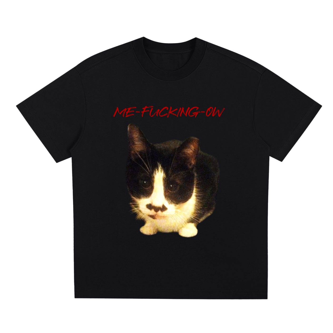 MEOW,ME FUCKING OW,FUCKING,FUCK,CAT VULGAR,SWEARING CAT,MAD CAT,MAD,CAT,CAT STARE
