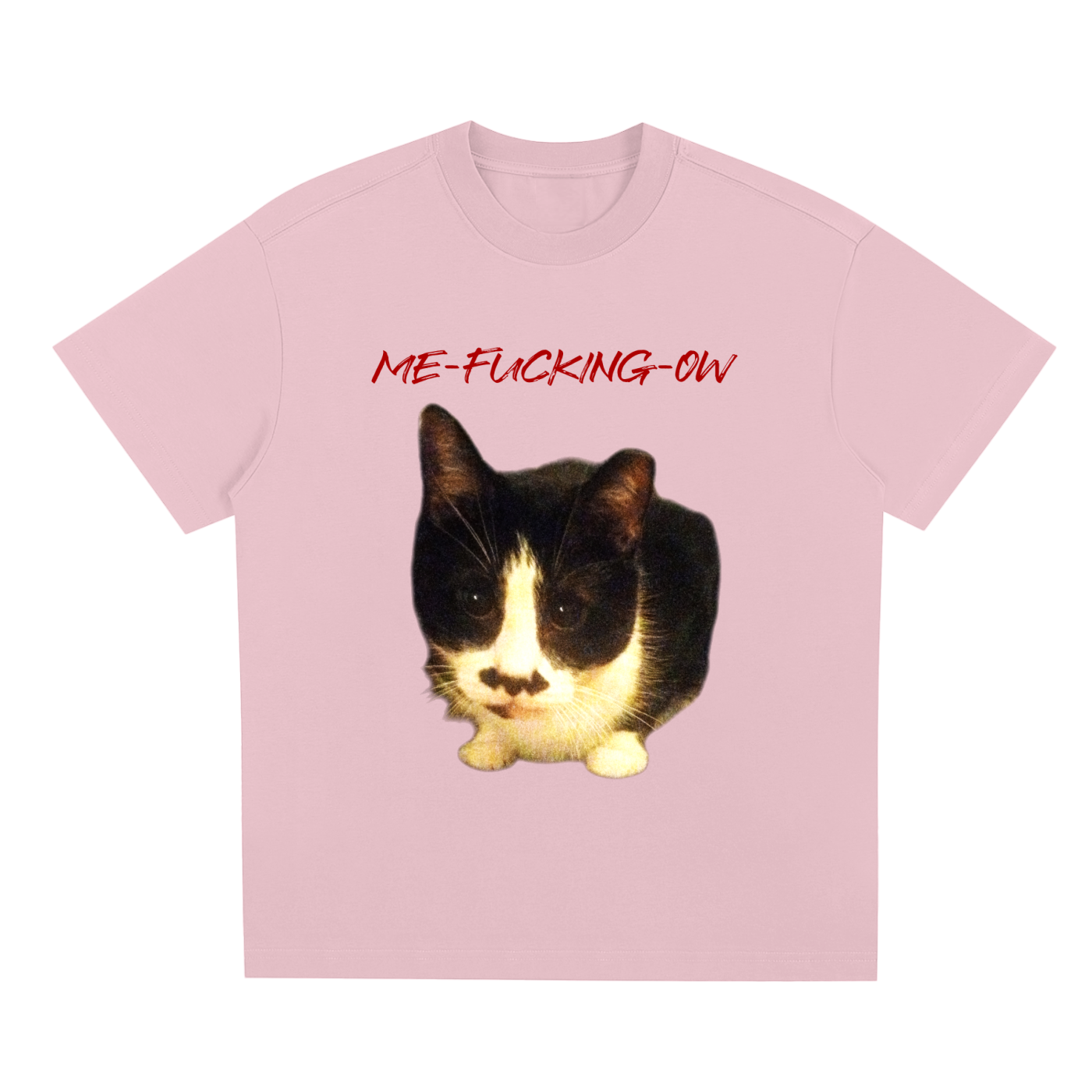 MEOW,ME FUCKING OW,FUCKING,FUCK,CAT VULGAR,SWEARING CAT,MAD CAT,MAD,CAT,CAT STARE
