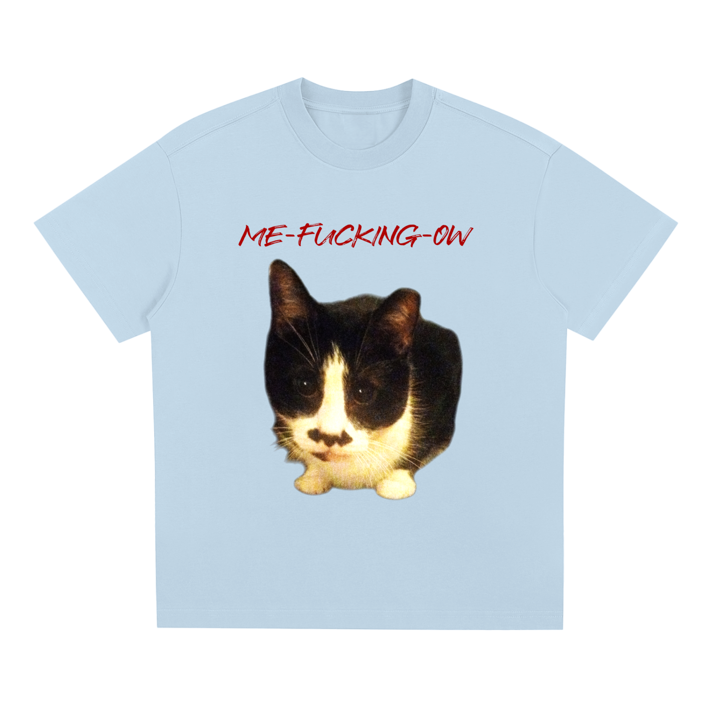 MEOW,ME FUCKING OW,FUCKING,FUCK,CAT VULGAR,SWEARING CAT,MAD CAT,MAD,CAT,CAT STARE